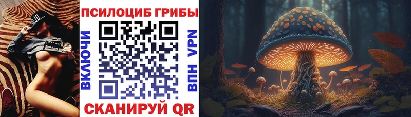 Галлюциногенные грибы мицелий  Купить закладки  Абакан 
