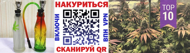 Купить  Абакан  Каннабис индика 